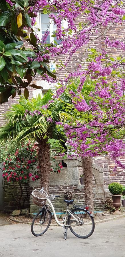 Bed and Breakfast Castel Jolly Rennes Exterior foto